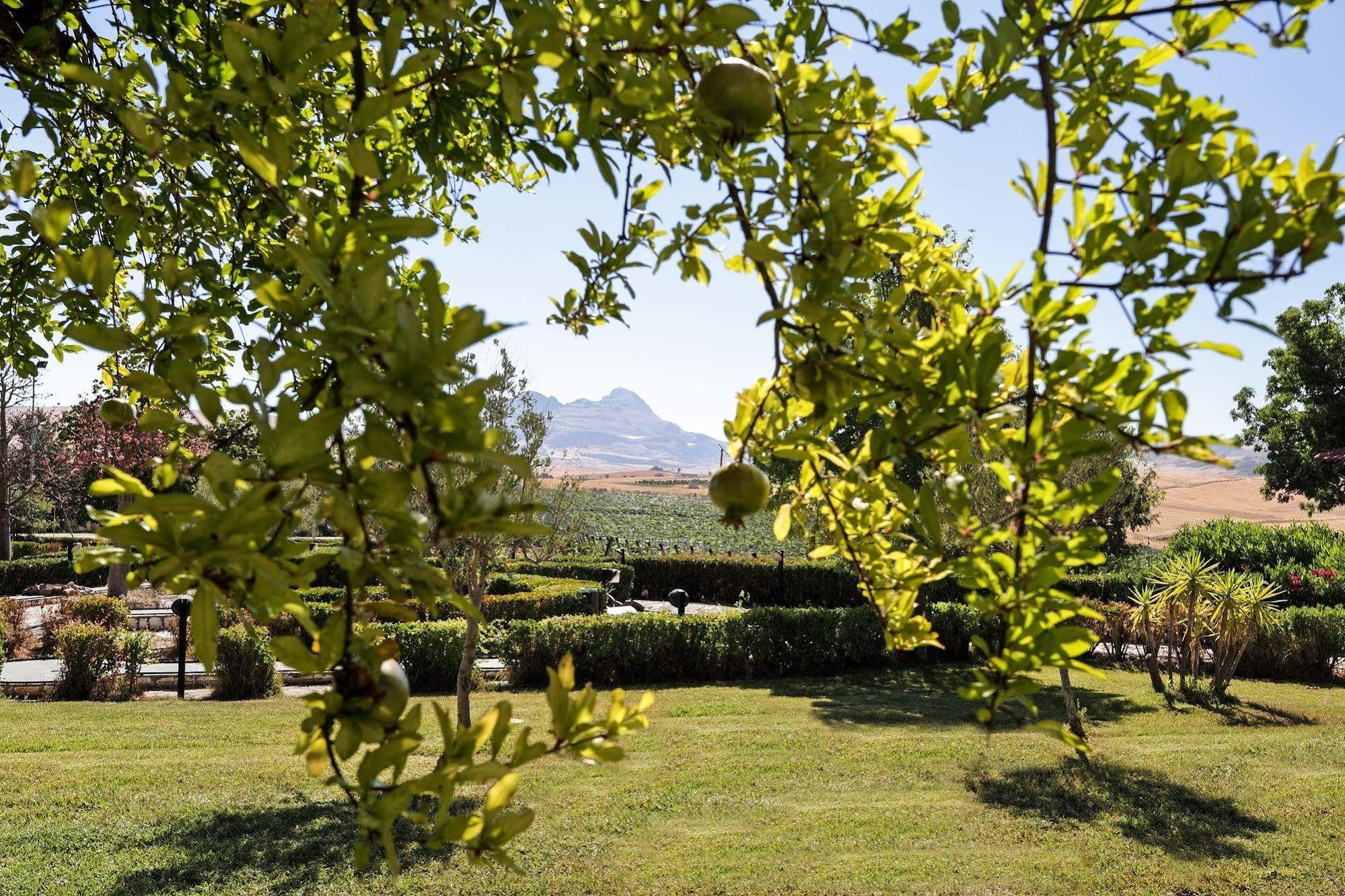 Agriturismo Tenute Pollara Roccamena Exterior photo